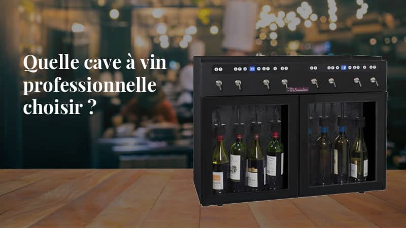 Quelle cave à vin professionnelle choisir ?
